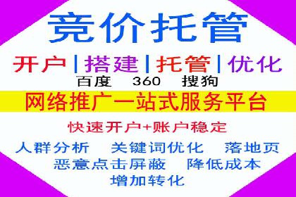 SEM优化师实战：从数据驱动优化广告投放