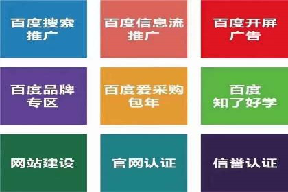 百度竞价推广案例：品牌崛起之路